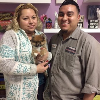Escondido Pets - Pet Adoption Near Me - Escondido, California Escondido Pets - Pet Adoption Near Me - Escondido, California