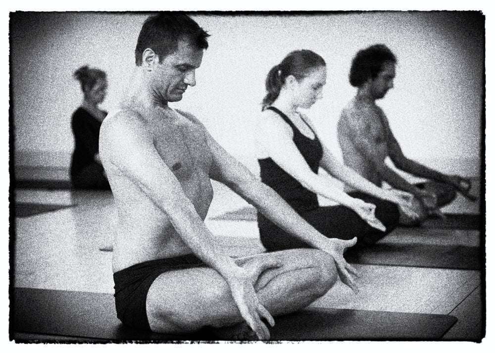 The Yoga Lab Logo