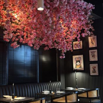 Chubby Cat Sushi - Sushi Bars Near Me - Delray Beach, Florida