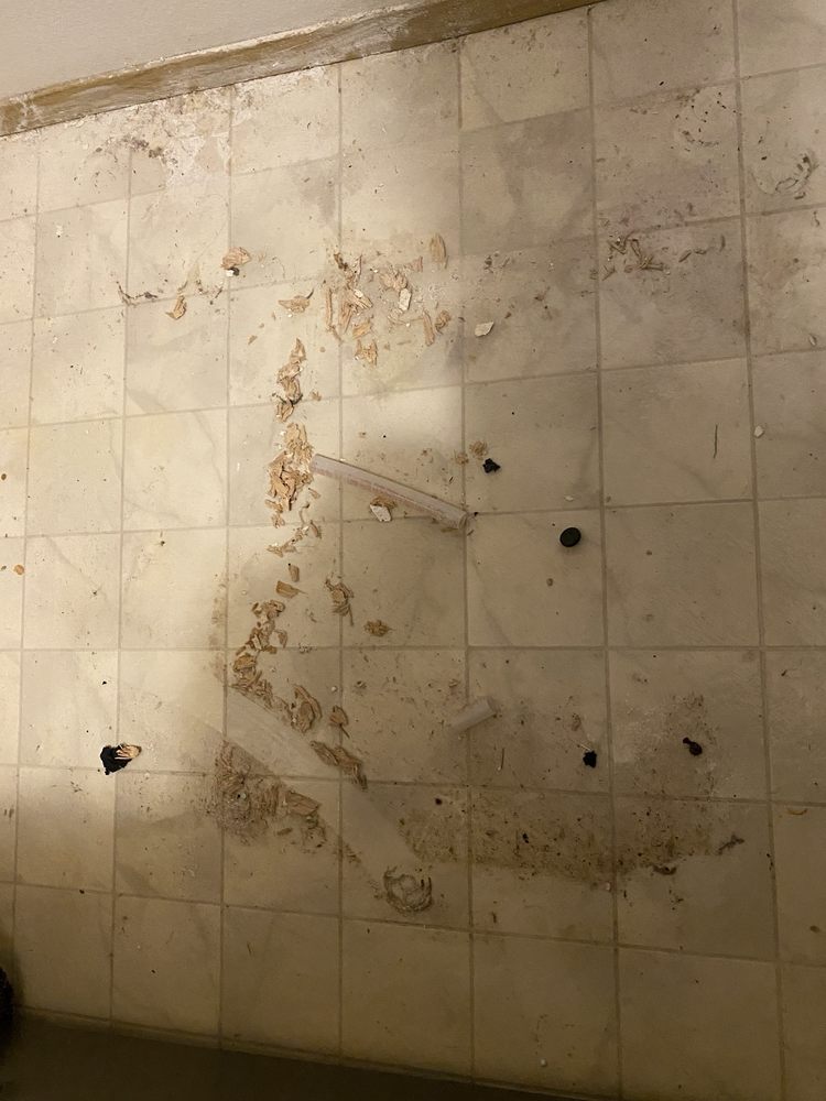 Slide of Repipe Specialists - Seattle