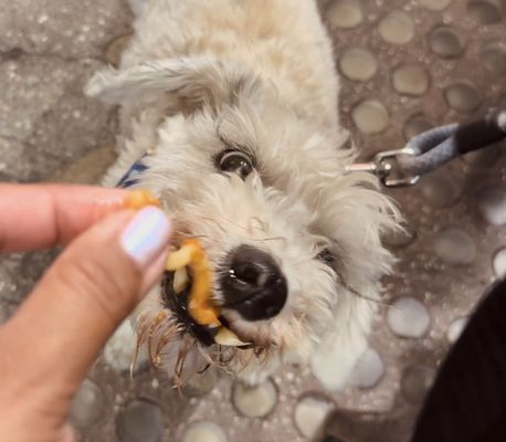 Knead Noods by null