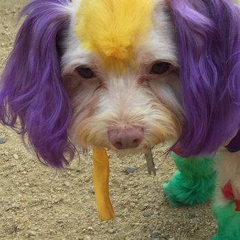 Pet Choice - Pet Stores Near Me - Oakland, California Pet Choice - Pet Stores Near Me - Oakland, California