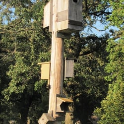 Kettleson Hogsback Wildlife Management Area - Bird Houses