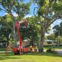 Photo of All In One Tree And Lawn Service