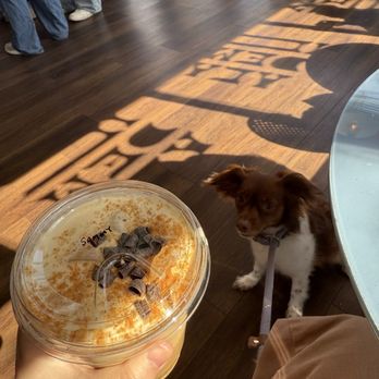 Academic Coffee - Bakeries Near Me - San Jose, California Academic Coffee - Bakeries Near Me - San Jose, California