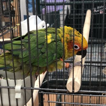 Pets Plus - Pet Stores Near Me - Mays Landing, New Jersey Pets Plus - Pet Stores Near Me - Mays Landing, New Jersey