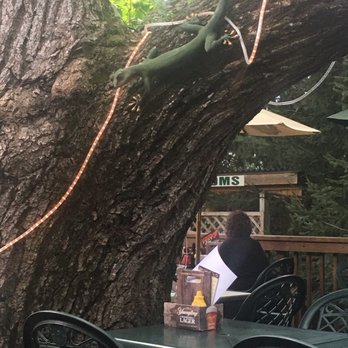 Quentin Tavern - The trunk of the massive tree on the deck. No the gecko isn't real. - American Near Me - Lebanon, Pennsylvania Quentin Tavern - The trunk of the massive tree on the deck. No the gecko isn't real. - American Near Me - Lebanon, Pennsylvania