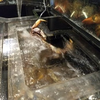 Kirin Restaurant - crab fighting to escape from the tank - Seafood Near Me - Honolulu, Hawaii Kirin Restaurant - crab fighting to escape from the tank - Seafood Near Me - Honolulu, Hawaii