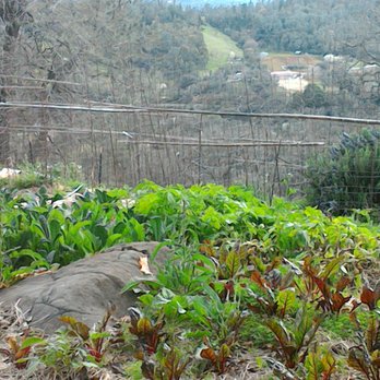 Foothill Organic Growers - Fruits & Veggies Near Me - Newcastle, California