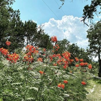 Over Yonder Nature School - Preschools Near Me - Dripping Springs, Texas Over Yonder Nature School - Preschools Near Me - Dripping Springs, Texas
