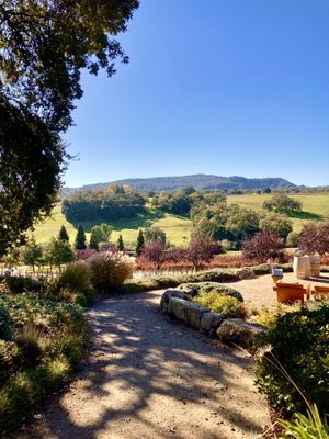 Denner Vineyards by null