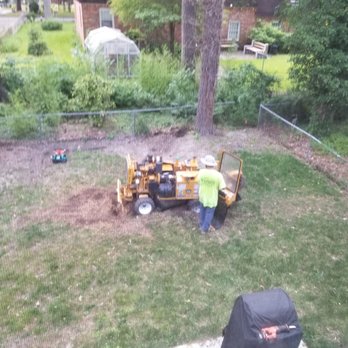 All Out Tree and Stump Removal - Tree Services Near Me - Virginia Beach, Virginia