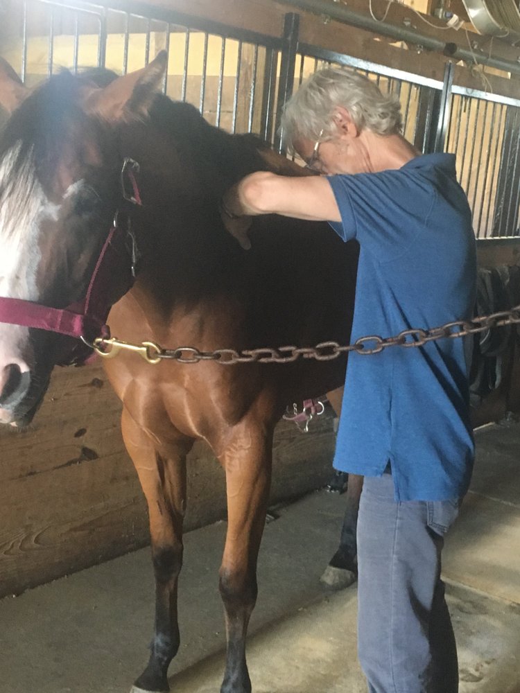 Field Hands for Horses - equestrian in Oberlin, OH