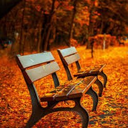 Anita's Notary Services - You never have to sit alone