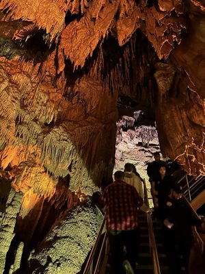 Mammoth Cave National Park by null