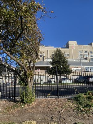 Memorial Stadium by null