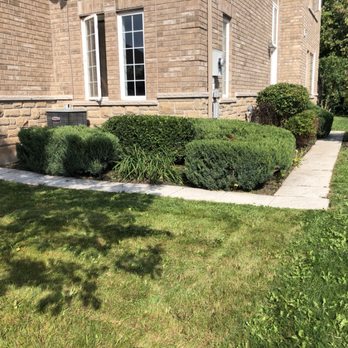 In Style Landscaping - Lawn cut and trimmed bushes - Snow Removal Near Me In Style Landscaping - Lawn cut and trimmed bushes - Snow Removal Near Me