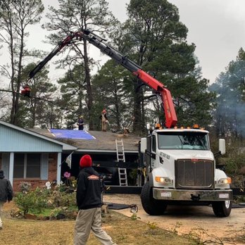 All About Trees - Tree Services Near Me - Waskom, Louisiana