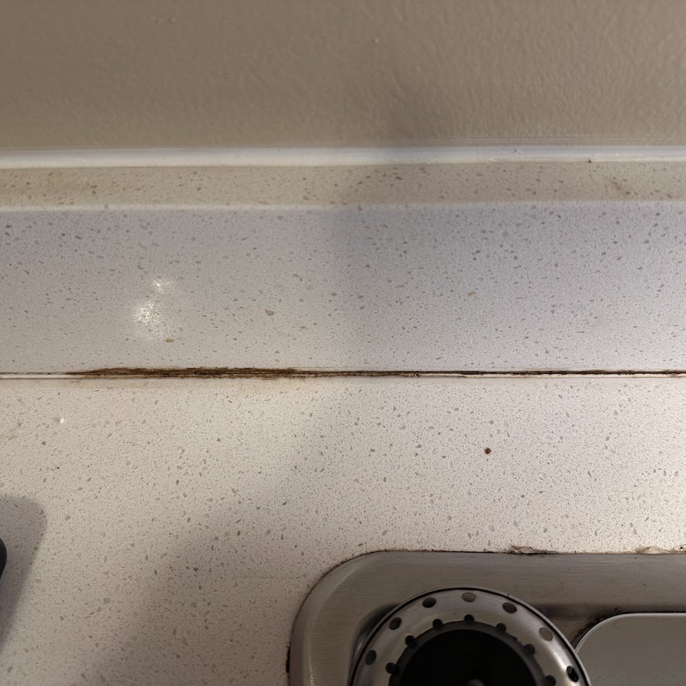 Sleep Inn & Suites Columbus State University Area - More mold in my room - Hotels Near Me - Columbus, Georgia