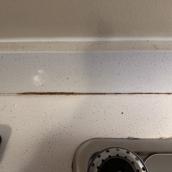 Sleep Inn & Suites Columbus State University Area - More mold in my room - Hotels Near Me - Columbus, Georgia Sleep Inn & Suites Columbus State University Area - More mold in my room - Hotels Near Me - Columbus, Georgia