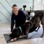 Pawz In Motion Canine Rehab On Wheels