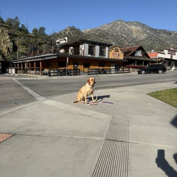 Sequoia Mountain Bakery - My dog from across the street - Bakeries Near Me - Kernville, California