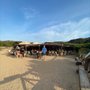 Photo of Baia Trinita
