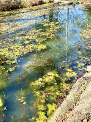 Heaven's Door Distillery by null