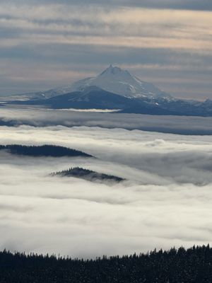 Mt. Hood Meadows by null