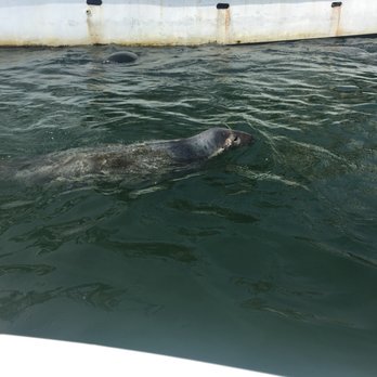 Blue Claw Boat Tours - Boat Tours Near Me - Medomak, Maine