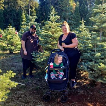 Harris Family Farm - Christmas Trees Near Me - Pollock Pines, California Harris Family Farm - Christmas Trees Near Me - Pollock Pines, California