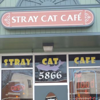 Stray Cat Bar & Grill - Entrance - Beer, Wine & Spirits Near Me - Arlington, Virginia Stray Cat Bar & Grill - Entrance - Beer, Wine & Spirits Near Me - Arlington, Virginia