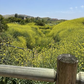 Peters Canyon Regional Park - On the North Loop Trail. - Parks Near Me - Orange, California