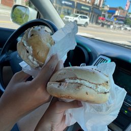Onion Bagel
