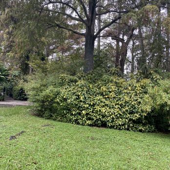 Stranahan Park - Parks Near Me - Fort Lauderdale, Florida Stranahan Park - Parks Near Me - Fort Lauderdale, Florida