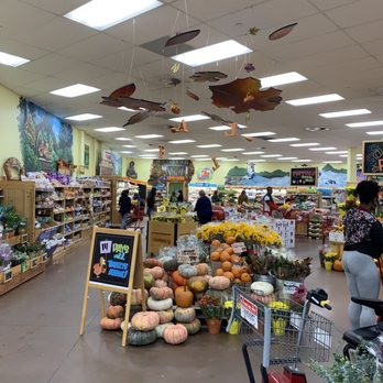 Trader Joe's - Fall Decor at the entrance - Grocery Near Me - Charlotte, North Carolina