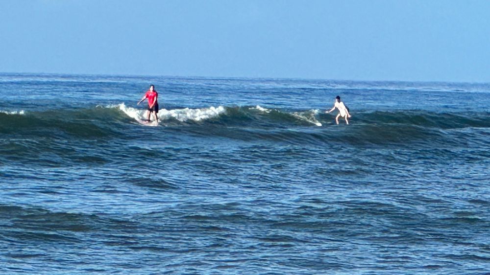Surfing & Turfing Logo