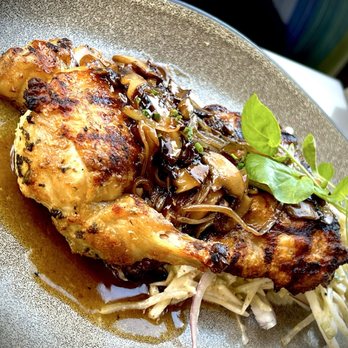 Tommy Bahama - Chicken special - Furniture Stores Near Me - Palm Desert, California Tommy Bahama - Chicken special - Furniture Stores Near Me - Palm Desert, California