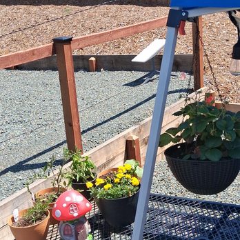 Auburn RV Resort - Our little garden @ the camp site - RV Parks Near Me - Auburn, California