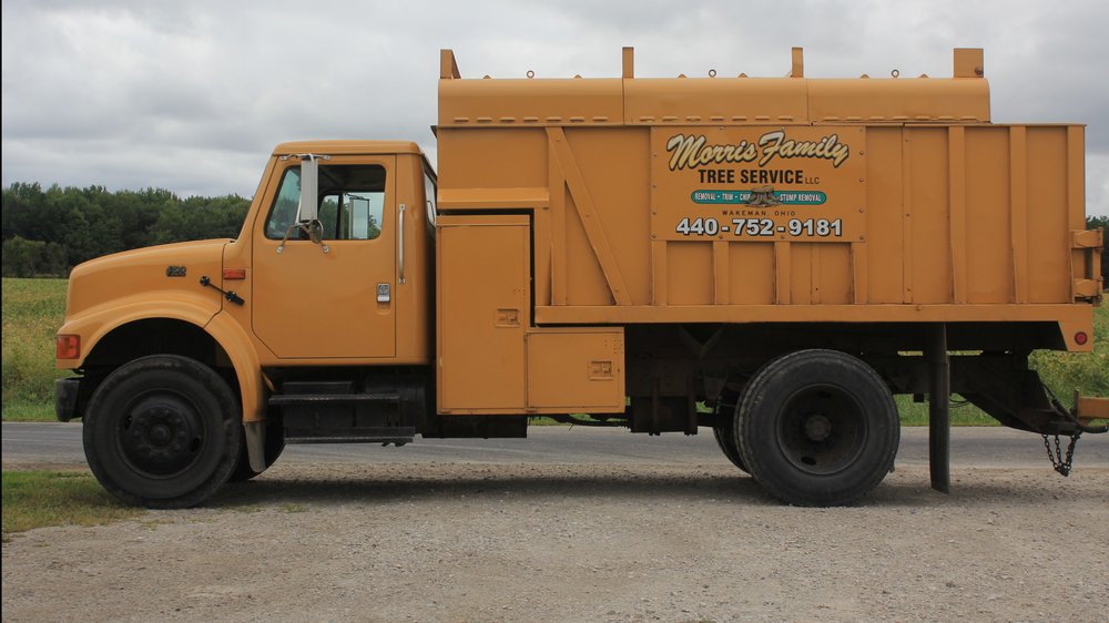 MORRIS FAMILY TREE SERVICE Updated September 2024 6648 Lincoln Rd