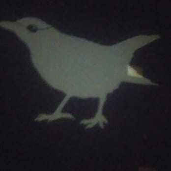 Blackbird Ordinary - Oh blackbird dear blackbird - Cocktail Bars Near Me - Miami, Florida Blackbird Ordinary - Oh blackbird dear blackbird - Cocktail Bars Near Me - Miami, Florida