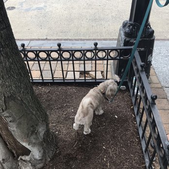 Kimpton Hotel Monaco Washington DC - On side street are gated trees good for small dogs - Hotels Near Me - Washington, DC, District of Columbia Kimpton Hotel Monaco Washington DC - On side street are gated trees good for small dogs - Hotels Near Me - Washington, DC, District of Columbia
