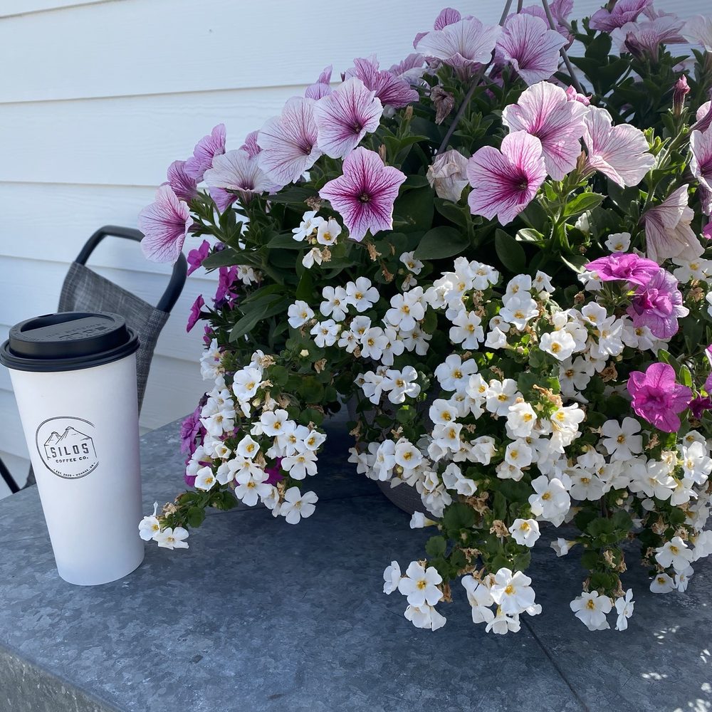 Silos Coffee - Little sitting area - Coffee & Tea Near Me - Monroe, Oregon Silos Coffee - Little sitting area - Coffee & Tea Near Me - Monroe, Oregon