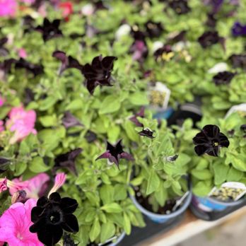 Earl May Garden Center - Nurseries & Gardening Near Me - Omaha, Nebraska