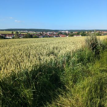 Alte Warte - Herrlicher Ausblick am Eingang zur Alten Warte - German Near Me - Schweinfurt, BY