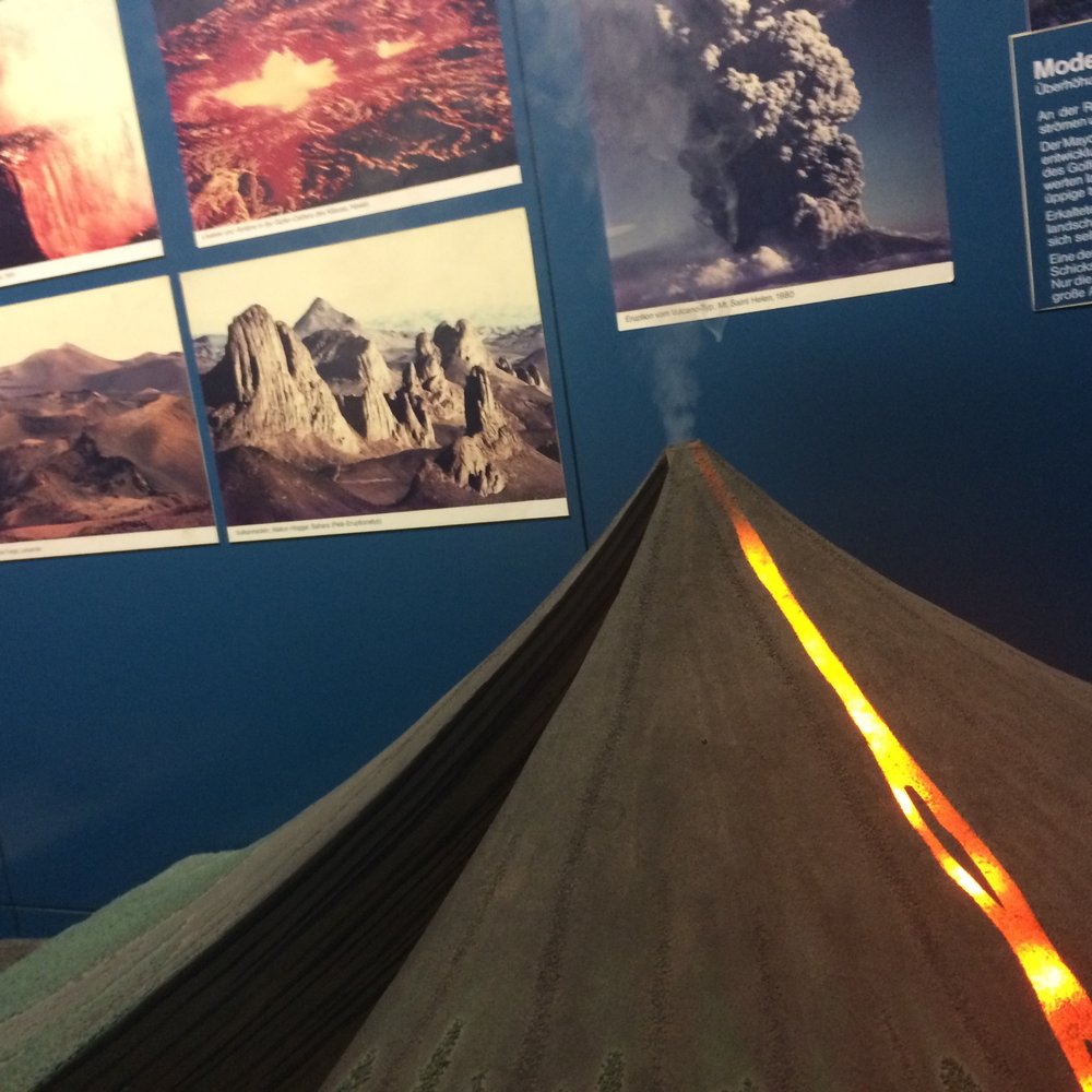 Senckenberg-Museum - Museums Near Me - Frankfurt, HE