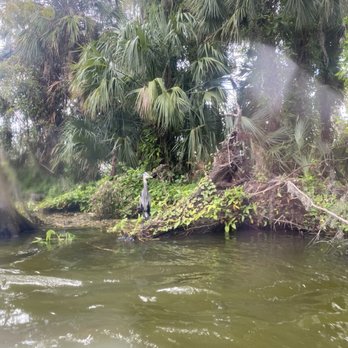 CatBoat Adventure Tours - Boat Tours Near Me - Mount Dora, Florida CatBoat Adventure Tours - Boat Tours Near Me - Mount Dora, Florida