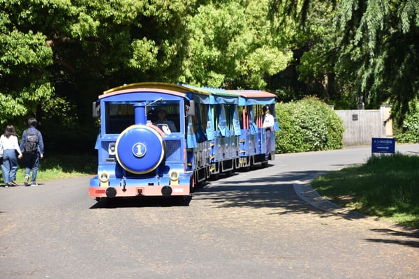 Showa Kinen Park by null