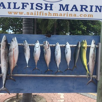 Tuna Wahoo Charters - Catch of the day, 6 got away. Board if 48" tall. - Boat Charters Near Me - Palm Beach Shores, Florida