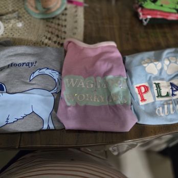 PetSmart Dog Training - She needs her tshirts for her itchy skin and these are great prices and fit - Pet Training Near Me - Casselberry, Florida PetSmart Dog Training - She needs her tshirts for her itchy skin and these are great prices and fit - Pet Training Near Me - Casselberry, Florida